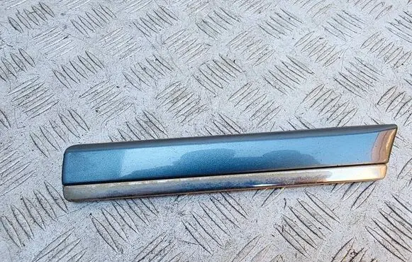 BMW 5 E39 Rear door trim (molding) 7004028