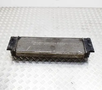 Volkswagen Crafter Intercooler radiator 2E0145804 A9065010301