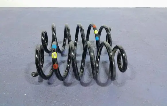 Rear coil spring