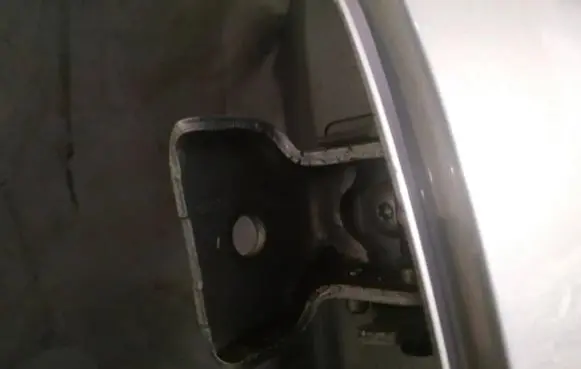 Rear door lower hinge