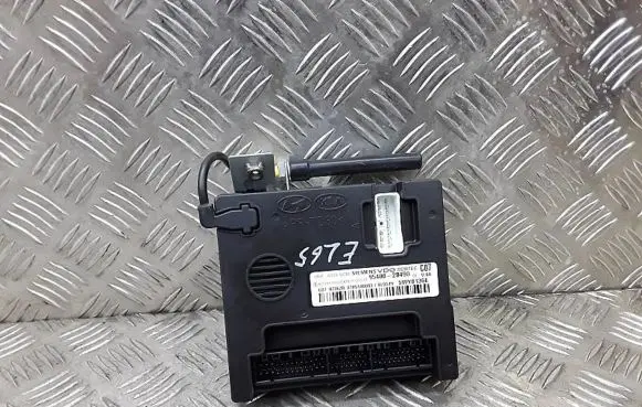 Hyundai Santa Fe Immobilizer control unit/module 954002B490