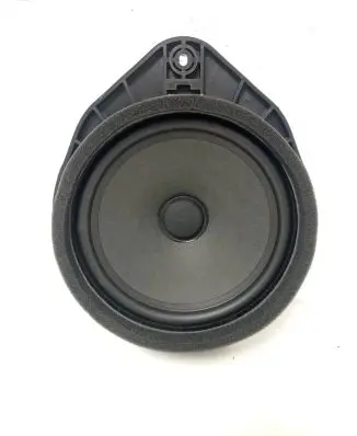 Front door speaker