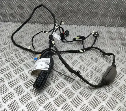BMW X6 G06 Other wiring loom 9184376