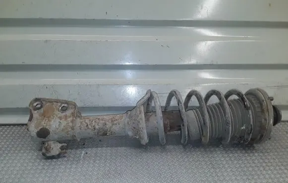 Land Rover Freelander Rear shock absorber with coil spring 