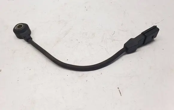 Volkswagen Touareg I Detonation knock sensor 022905377