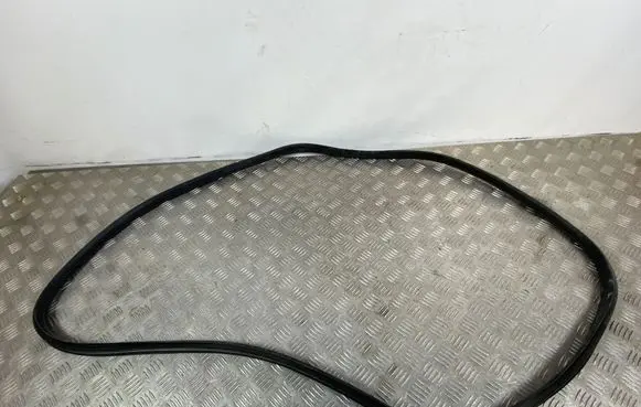 KIA Stinger Rear door rubber seal (on body) 