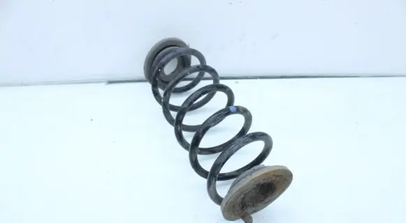 Volkswagen Golf VI Rear coil spring