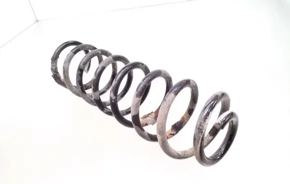 Rear coil spring