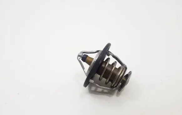 Toyota Hilux (AN10, AN20, AN30) Thermostat 9091603118