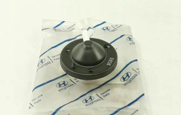 KIA Magentis Fuel pressure regulator 3119029810