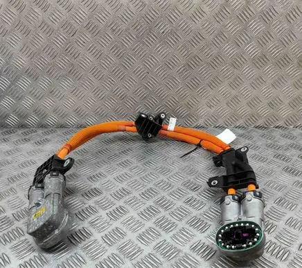 BMW iX Other wiring loom 5A1E3D6