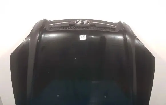 Hyundai Tucson JM Engine bonnet/hood