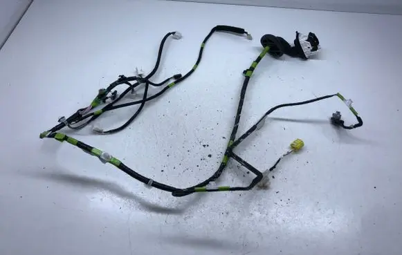 Front door wiring loom