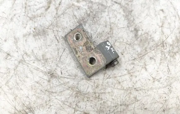 BMW 5 E39 Rear door lower hinge 19603239