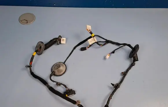 KIA Carens II Rear door wiring loom 916501D000