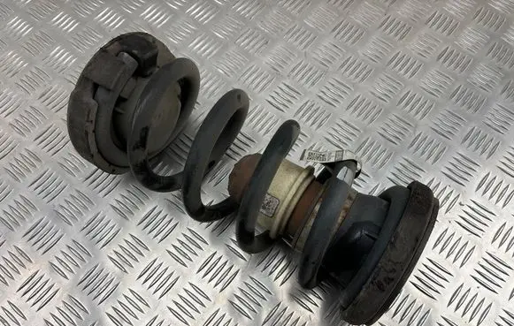 Rear coil spring