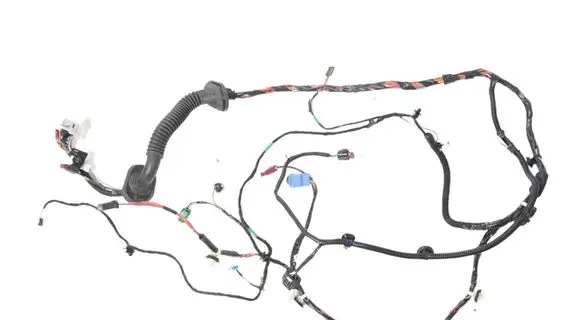 Front door wiring loom