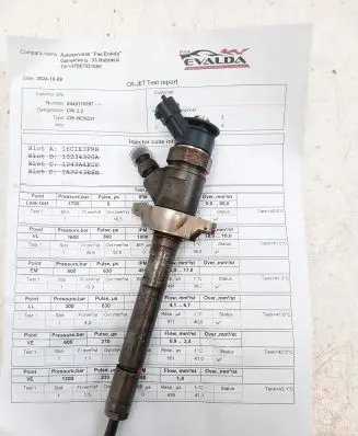 Citroen C5 Fuel injector 0445110297
