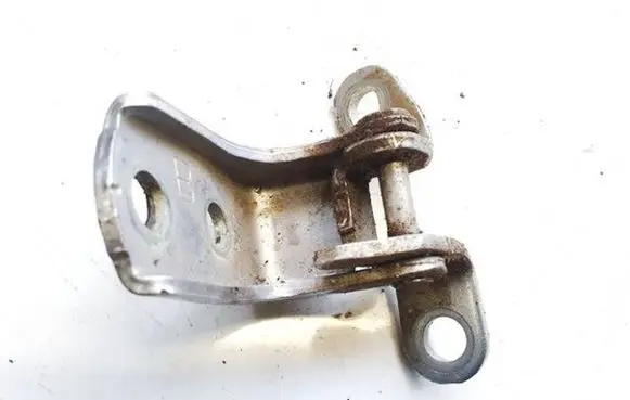 Rear door lower hinge