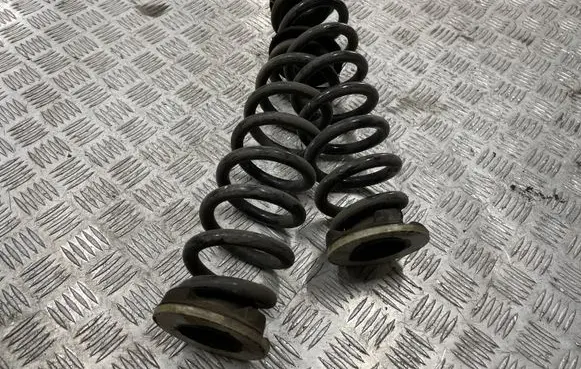 Opel Insignia B Rear coil spring