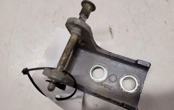 Citroen C3 Rear door lower hinge