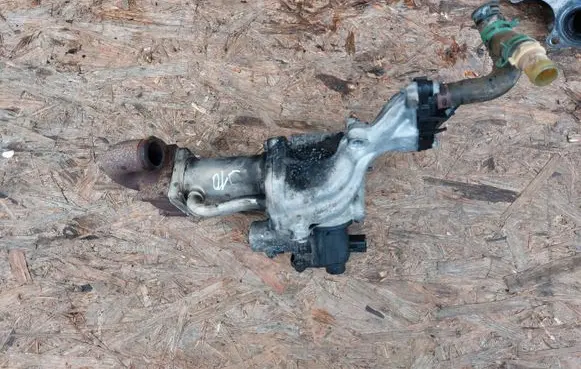 Nissan Note (E12) EGR valve H8200282949