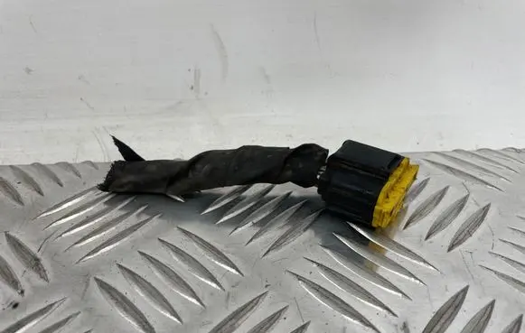 Hyundai Ioniq 5 Other wiring loom