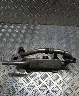 Seat Alhambra (Mk1) EGR valve cooler BH0038131513C 66701