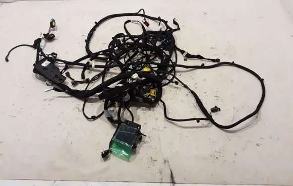 Renault Kangoo III Other wiring loom 241604203R