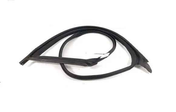 Tesla Model 3 Front door rubber seal 