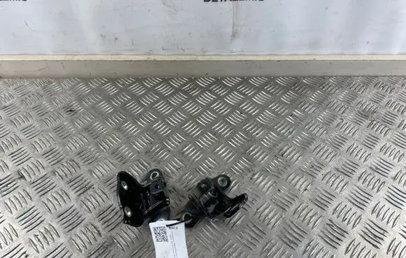 KIA Sorento Rear door hinge set 