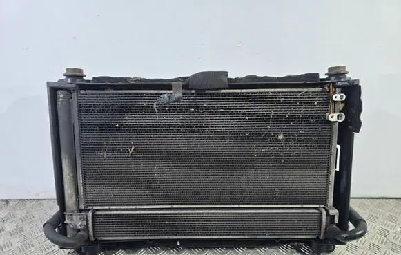 Toyota Prius (XW30) Radiator set 1002221374 4221341041