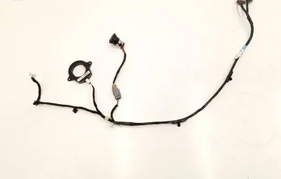 Tesla Model S Other wiring loom 100441800L 100562700B