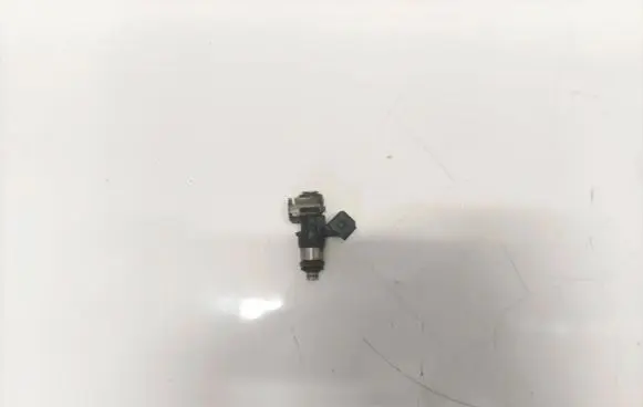Dacia Sandero Fuel injector 0280158046 8200292590