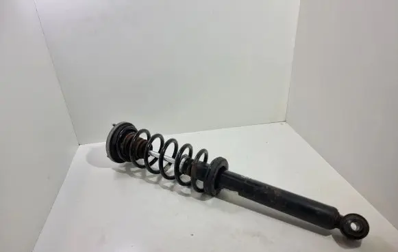 BMW 5 F10 F11 Rear shock absorber with coil spring 