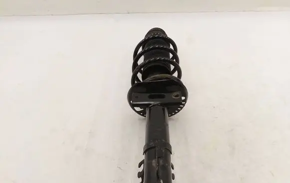 Volkswagen Polo V 6R Front shock absorber/damper MGA5793