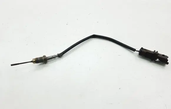 Exhaust gas temperature sensor