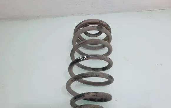 Chevrolet Cruze Rear coil spring