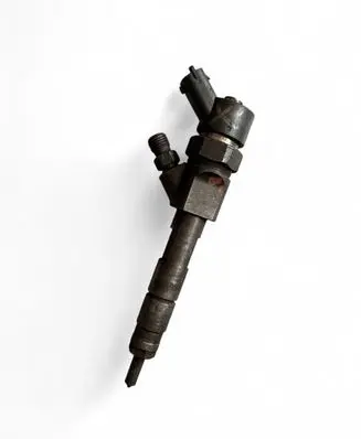 Renault Scenic II - Grand scenic II Fuel injector 0445110146
