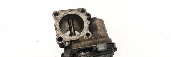 Citroen Berlingo Throttle valve 28275019 96.735.344.80