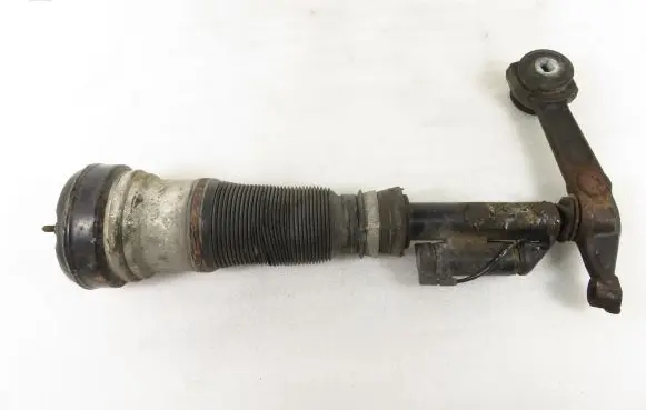 Mercedes-Benz S W220 Rear air suspension bag/shock absorber C086053P7