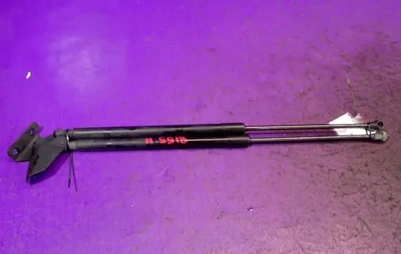 Nissan Qashqai Tailgate strut 90450JD01B