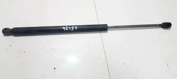 Tailgate/trunk strut/damper