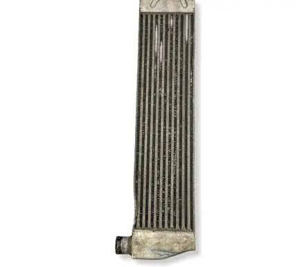 Renault Scenic II - Grand scenic II Intercooler radiator 8200325003 E9440003 00162240