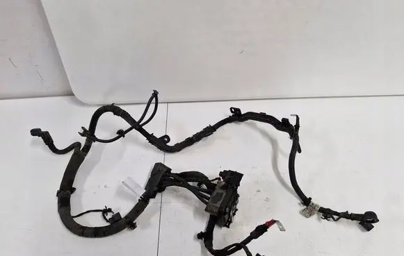 KIA Carens III Positive cable (battery) 91850-A4420