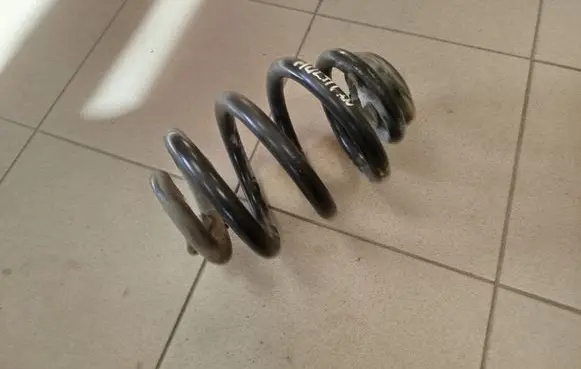 Rear coil spring
