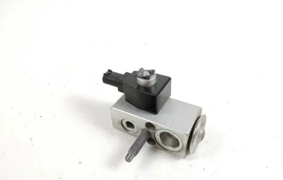 Tesla Model 3 Air conditioning (A/C) expansion valve 110187800A