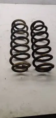 Rear coil spring