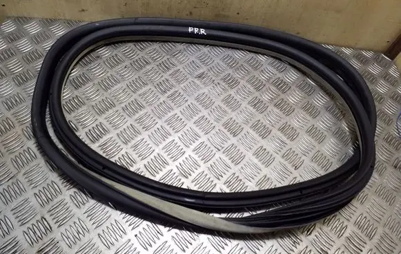 Citroen C4 I Picasso Front door rubber seal