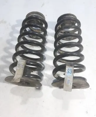 Rear coil spring